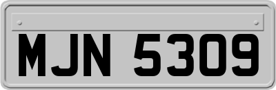 MJN5309