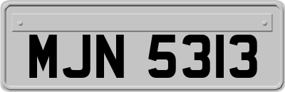 MJN5313