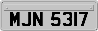 MJN5317
