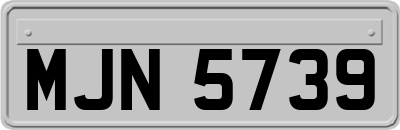 MJN5739
