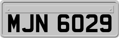 MJN6029