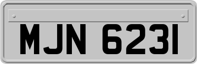 MJN6231