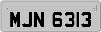 MJN6313