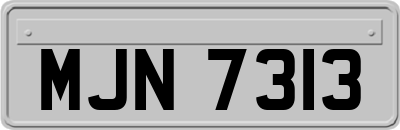 MJN7313