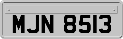 MJN8513