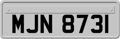 MJN8731