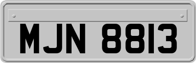 MJN8813