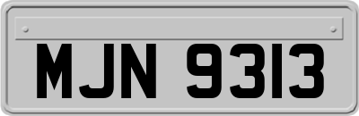 MJN9313