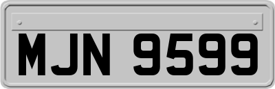 MJN9599