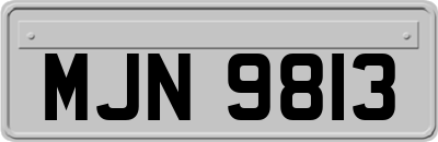MJN9813
