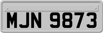 MJN9873