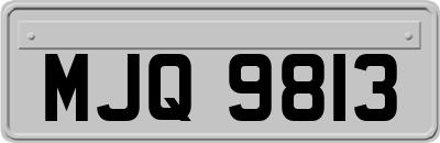 MJQ9813