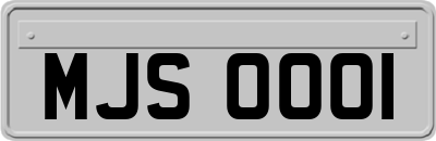 MJS0001