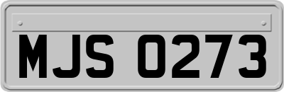 MJS0273