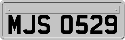 MJS0529