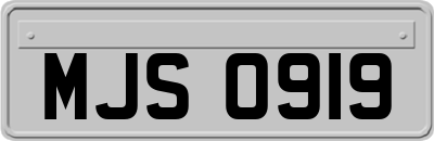 MJS0919