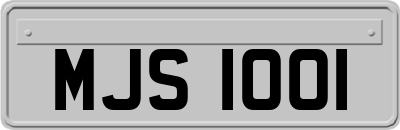MJS1001