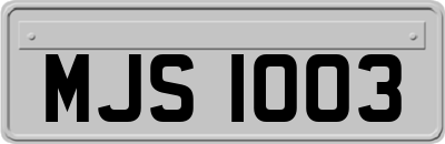 MJS1003