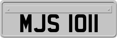 MJS1011