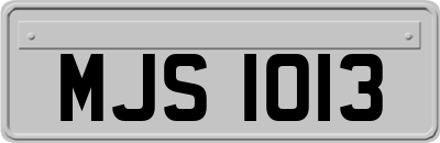 MJS1013