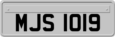 MJS1019
