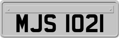 MJS1021