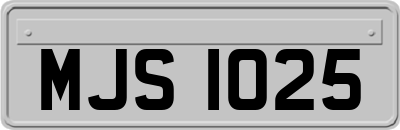 MJS1025