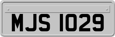 MJS1029