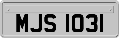 MJS1031