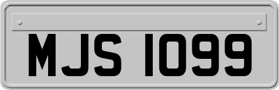 MJS1099