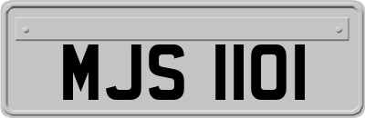 MJS1101