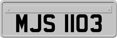MJS1103