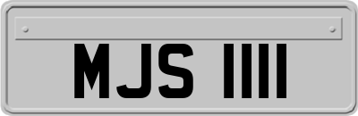 MJS1111