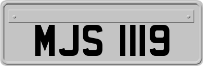 MJS1119