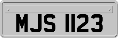 MJS1123