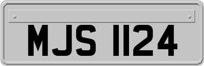 MJS1124