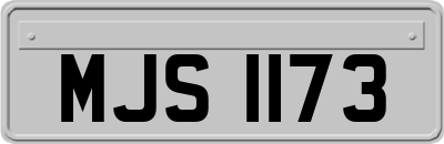 MJS1173