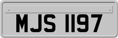 MJS1197