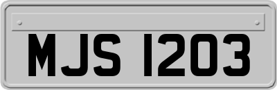 MJS1203