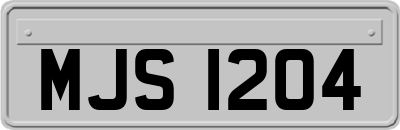 MJS1204