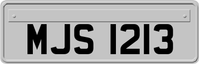 MJS1213