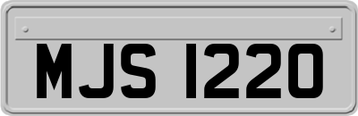 MJS1220
