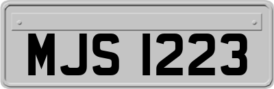 MJS1223