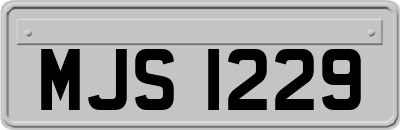 MJS1229
