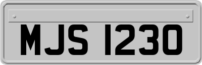 MJS1230