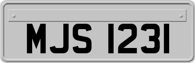 MJS1231