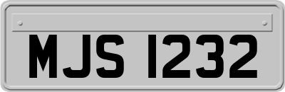 MJS1232