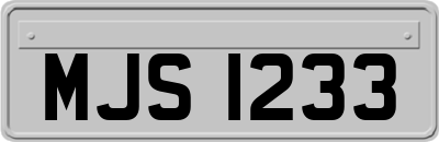 MJS1233
