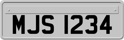 MJS1234