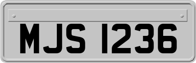 MJS1236